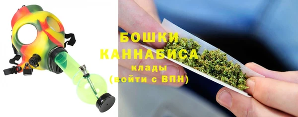 кокс Касимов