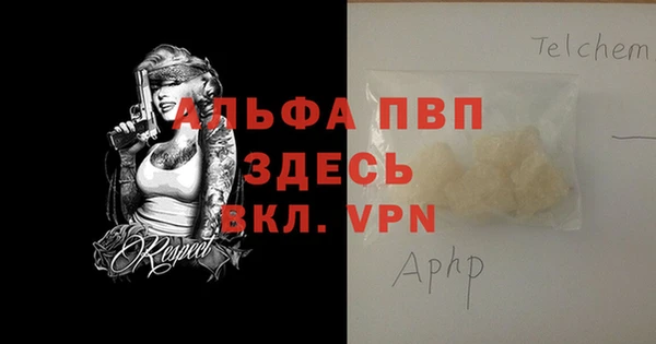 кокс Касимов