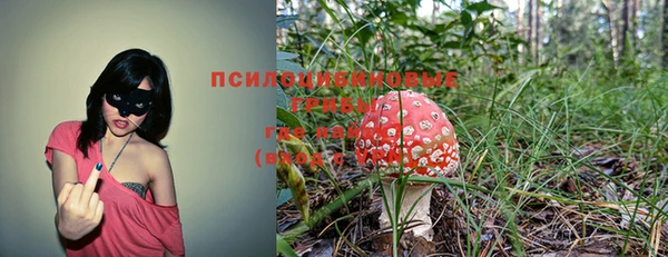 кокс Касимов