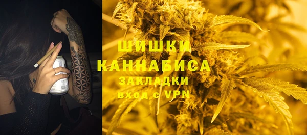 кокс Касимов