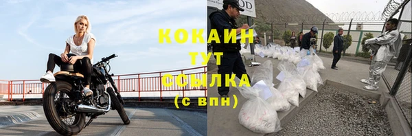 кокс Касимов
